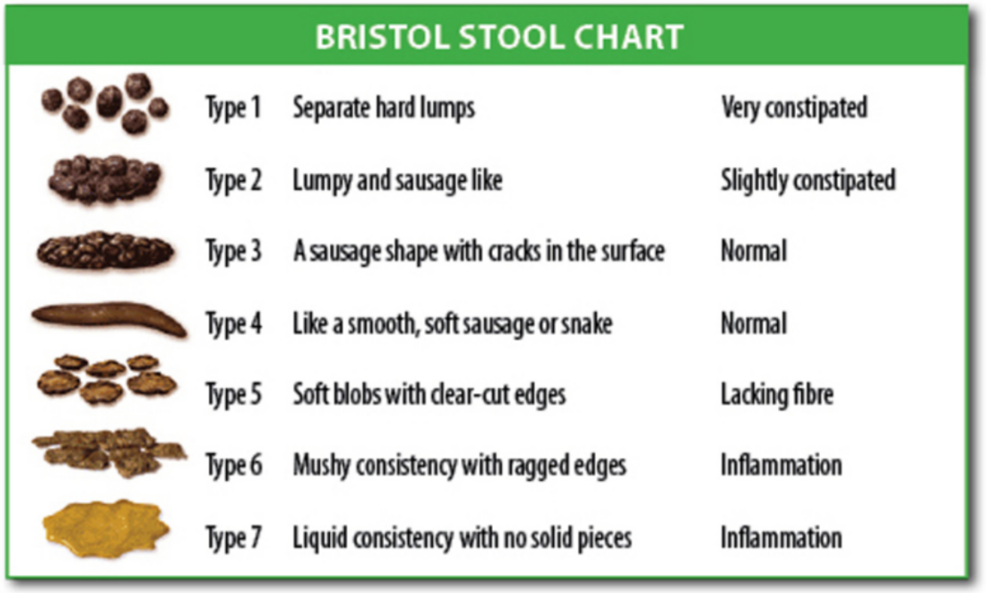Bristol_stool_chart.svg.png